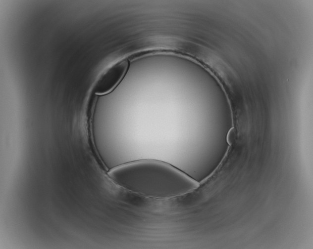 X0000115251072200911061214