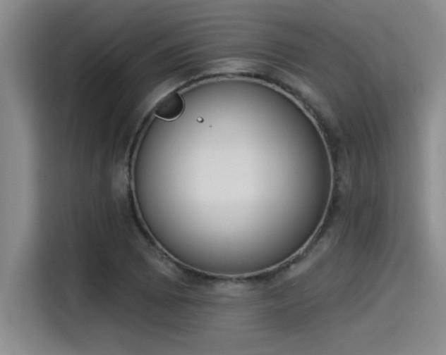 X0000115251073200911061214