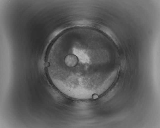 X0000115251074200911061214