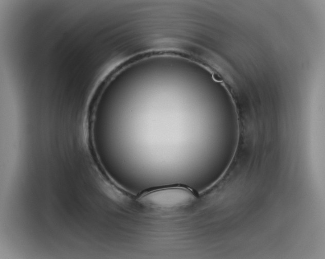 X0000115251076200911061214