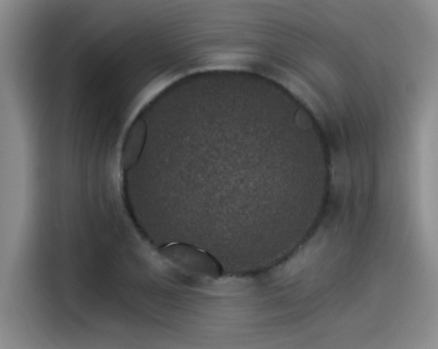 X0000115251077200911061214