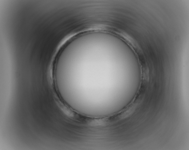 X0000115251078200911061214