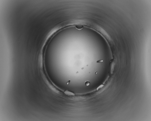 X0000115251079200911061214
