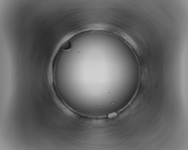 X0000115251080200911061214