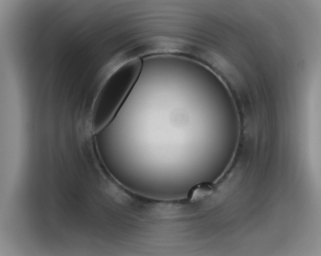 X0000115251081200911061214