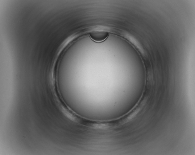 X0000115251082200911061214