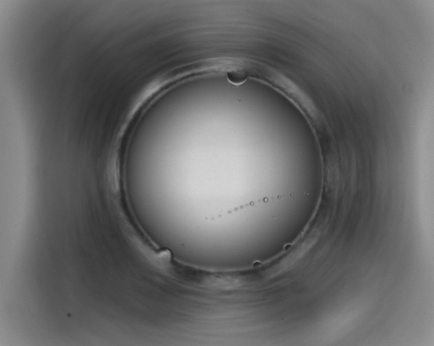 X0000115251083200911061214
