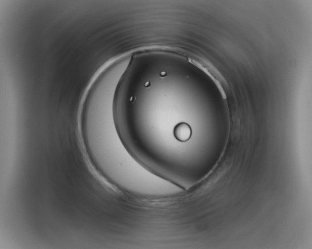 X0000115251084200911061214