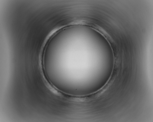 X0000115251086200911061214