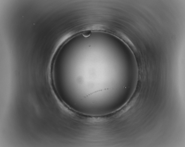 X0000115251087200911061214