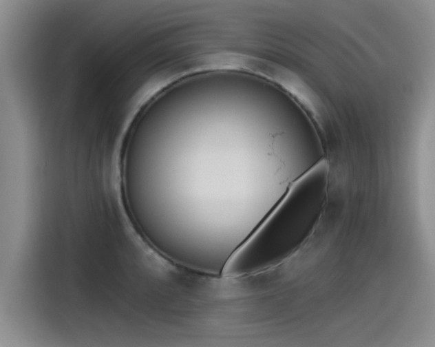 X0000115251088200911061214