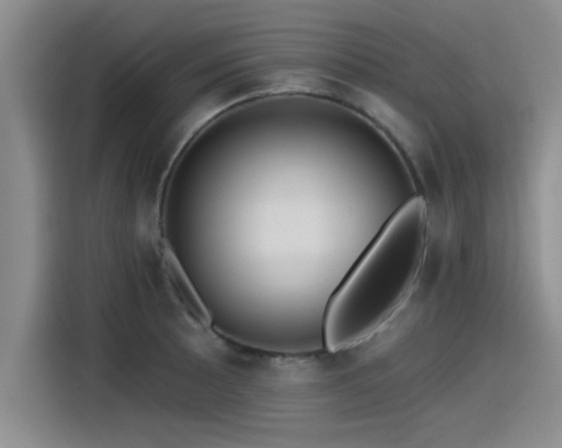 X0000115251089200911061214
