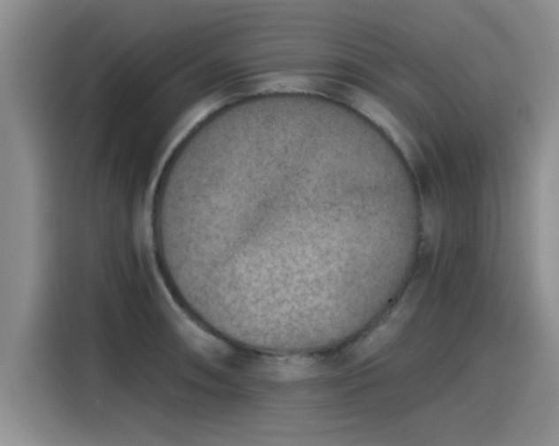 X0000115251090200911061214