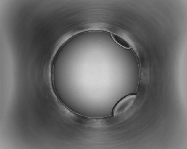 X0000115251096200911061213