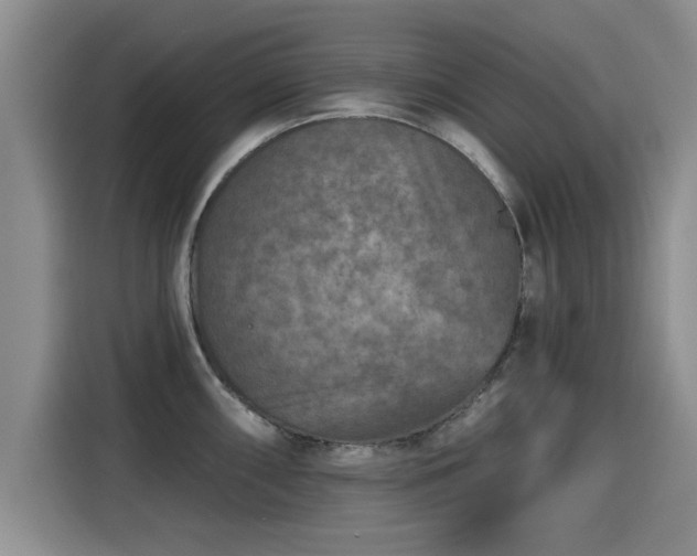 X0000115251098200911061213