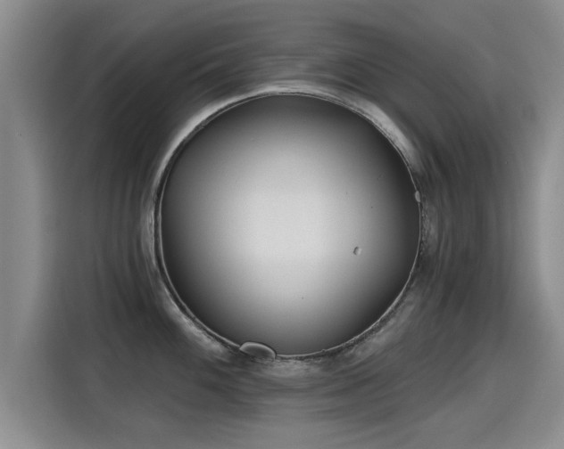 X0000115251100200911061213