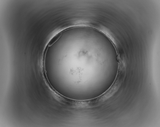 X0000115251101200911061213
