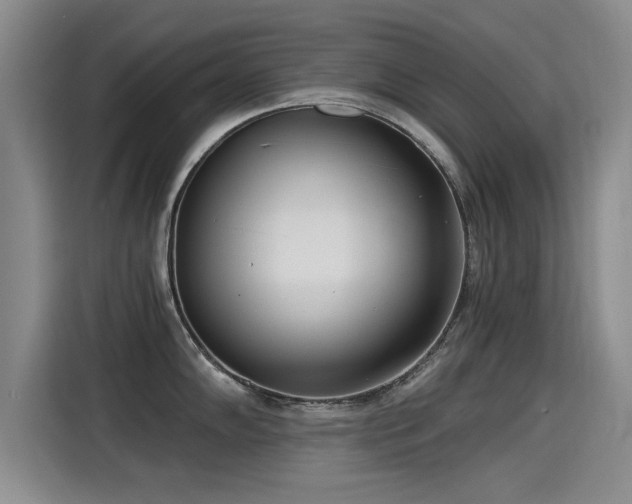 X0000115251102200911061213