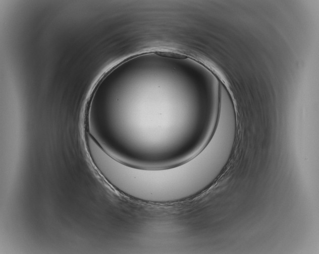 X0000115251104200911061213
