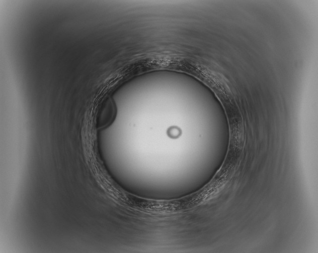 X0000115251105200911061213