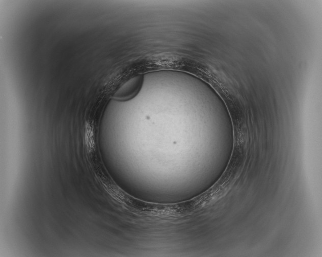 X0000115251106200911061213