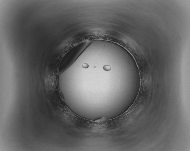 X0000115251110200911061213