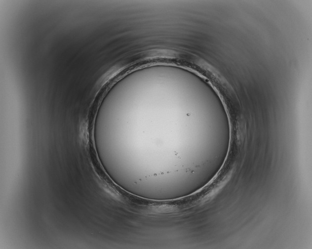X0000115251113200911061213