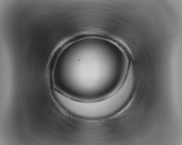 X0000115251114200911061213