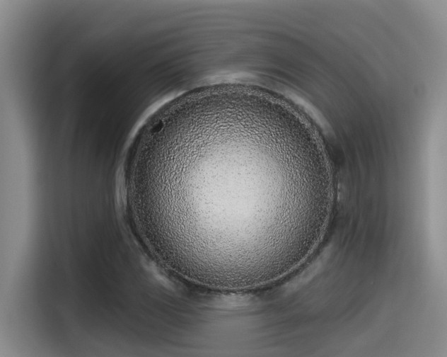 X0000115251117200911061213