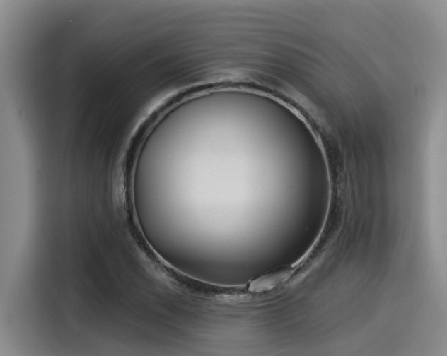 X0000115251118200911061213
