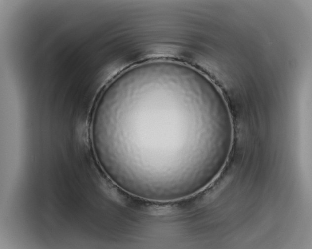 X0000115251121200911061213