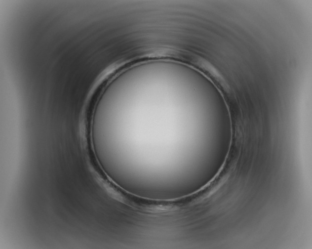 X0000115251122200911061213