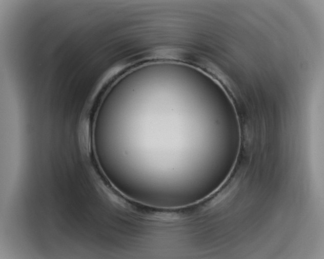 X0000115251123200911061213