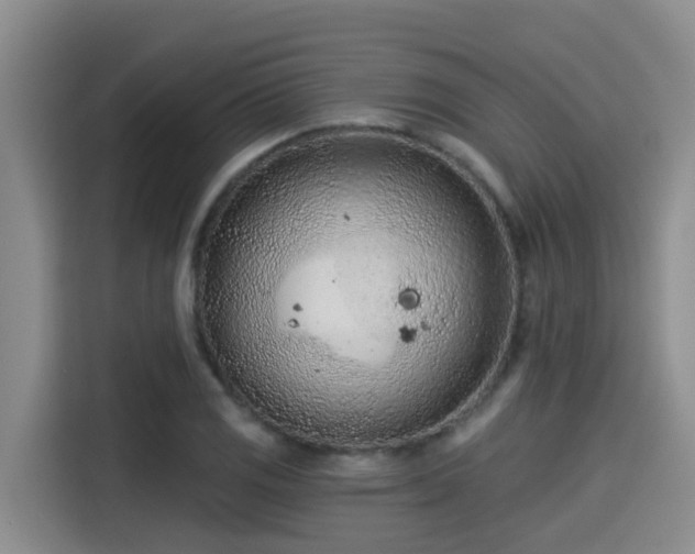 X0000115251125200911061213