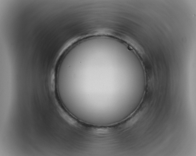 X0000115251126200911061213