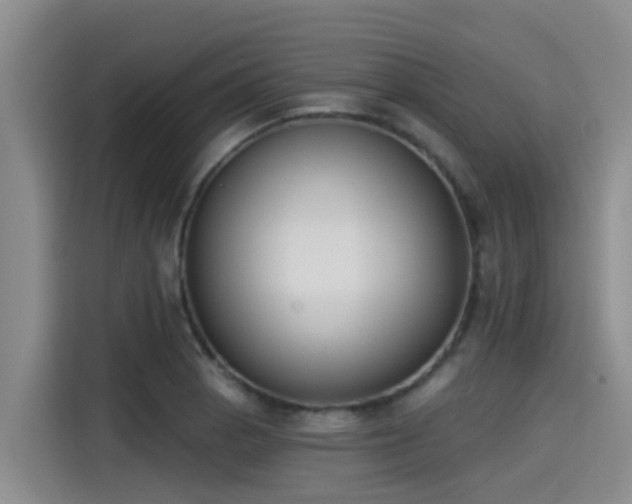 X0000115251129200911061213