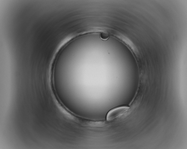 X0000115251135200911061213