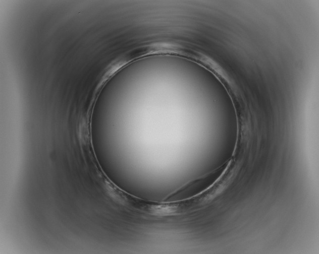 X0000115251145200911061213