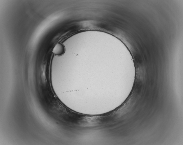 X0000115251150200911061213