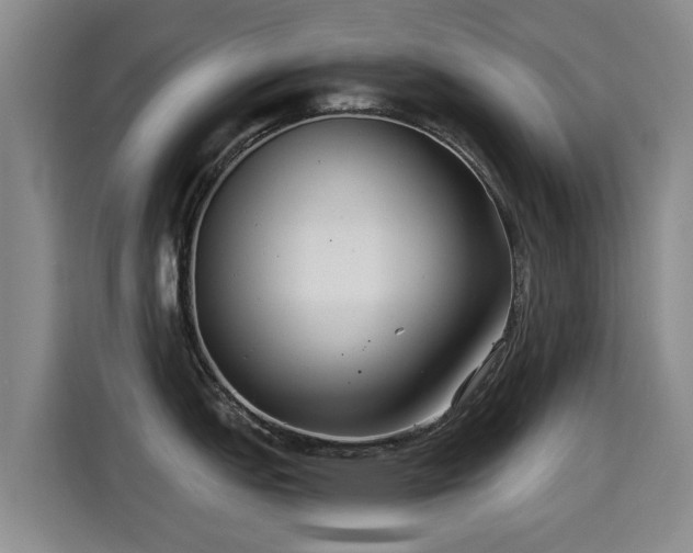 X0000115251151200911061213