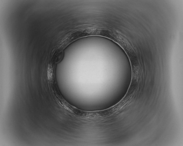 X0000115251154200911061213