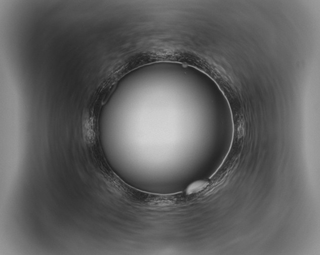 X0000115251156200911061213