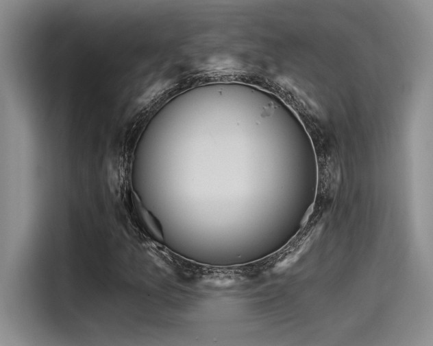 X0000115251157200911061213