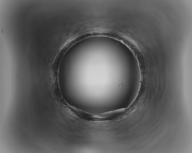 X0000115251160200911061213