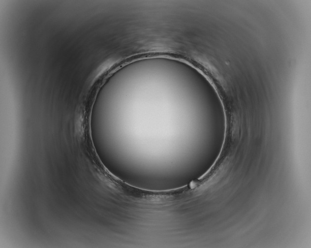 X0000115251163200911061213