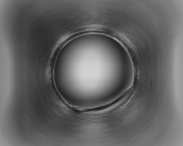 X0000115251164200911061213