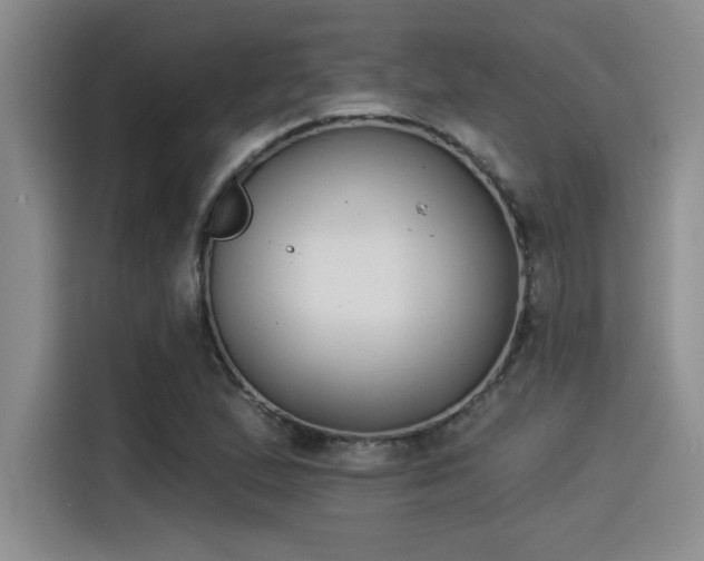 X0000115251167200911061213