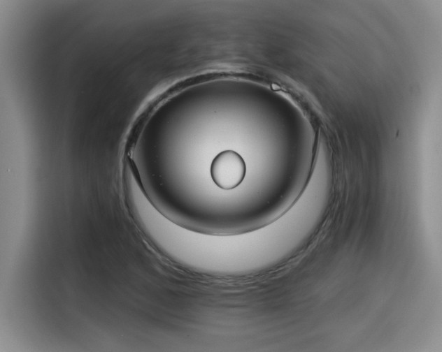 X0000115251168200911061213