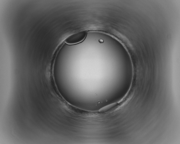 X0000115251170200911061212