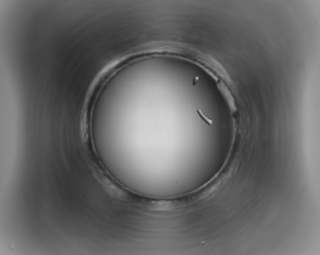 X0000115251172200911061212